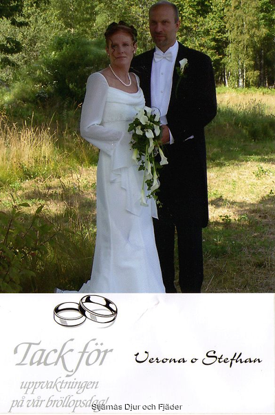 Bröllop%20Tackkort"