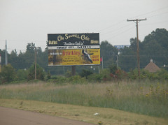 Campephilus principalis