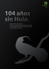 Heteralocha acutirostris